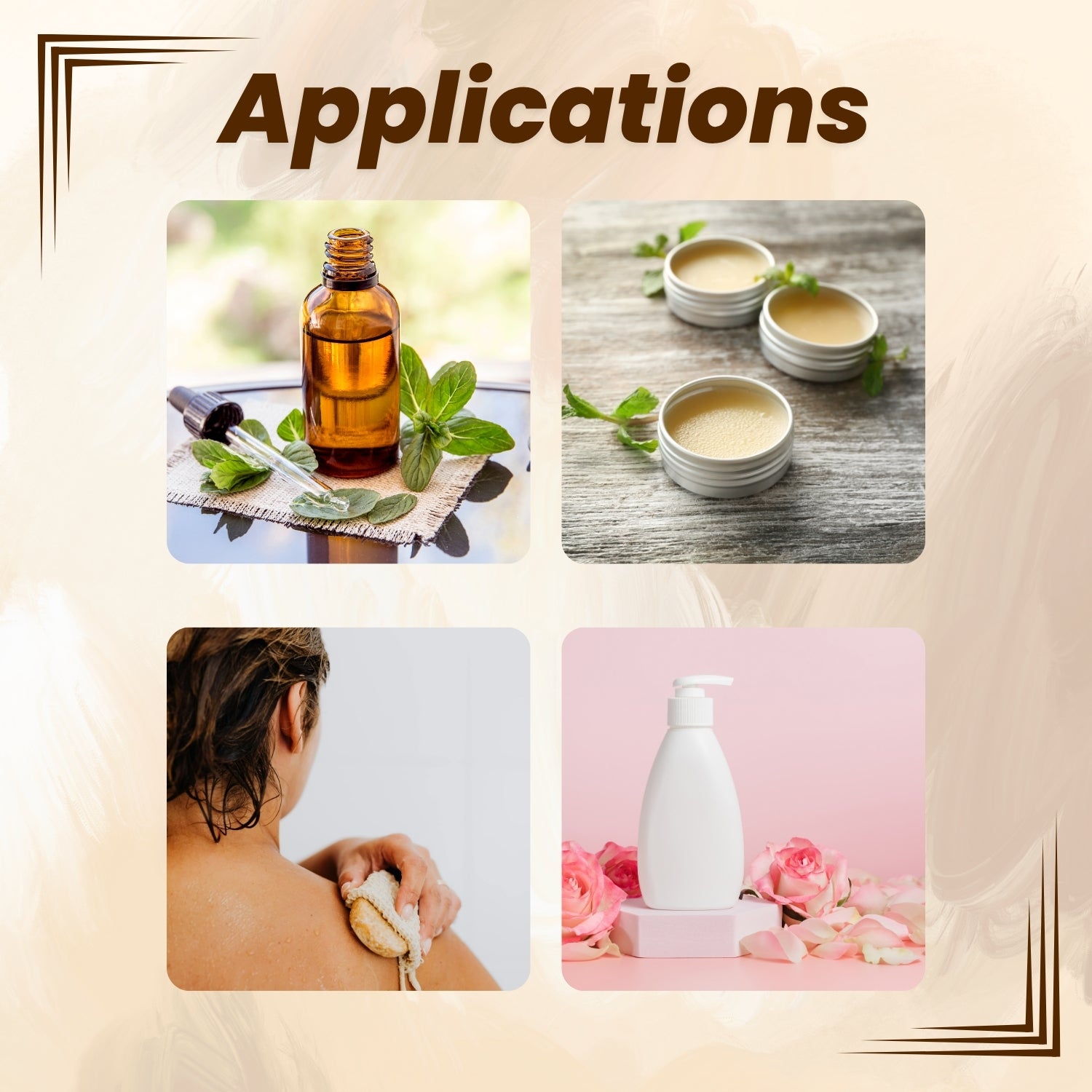 Shoprythm Dry Flower's Calendula Dry Flower Shoprythm Dry Flower's Calendula Dry Flower